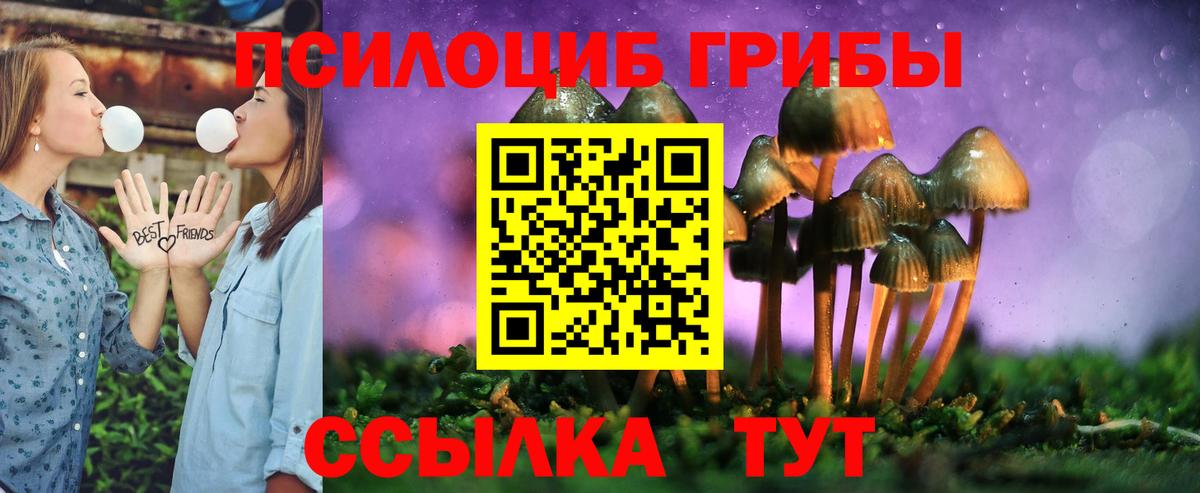 Псилоцибиновые грибы прущие грибы  Вход с VPN  Галлюциногенные грибы Cubensis  Новоалтайск 